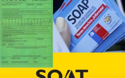 Como obter os seguros Carta Verde, SOAPEX e SOAT