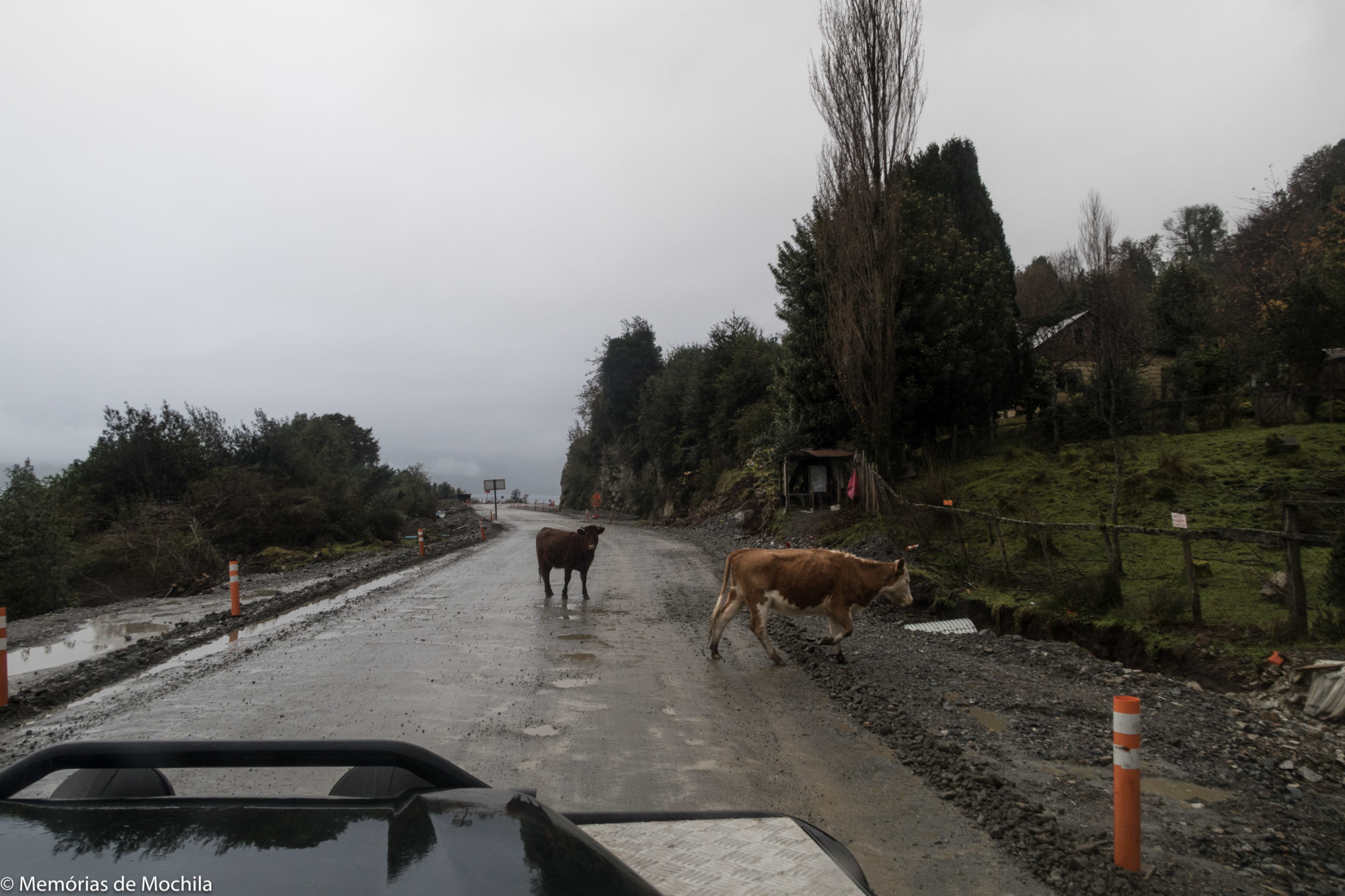 Carretera Austral