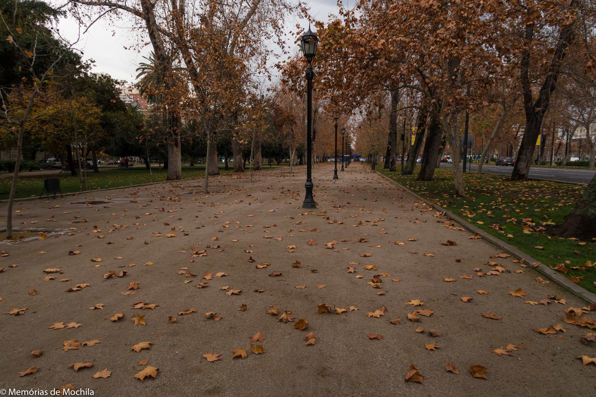 Santiago Parque Florestal