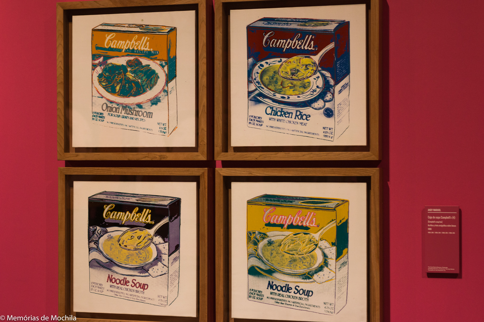 Santiago Exposicao Andy Warhol