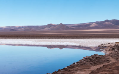 Tudo o que você precisa saber sobre San Pedro de Atacama