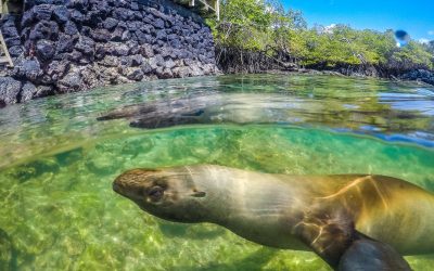 8 passeios grátis em Galápagos