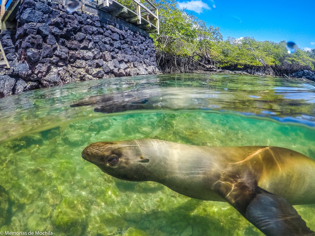 8 passeios grátis em Galápagos concha de perla galapagos
