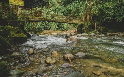 Mindo, um povoado em meio à natureza