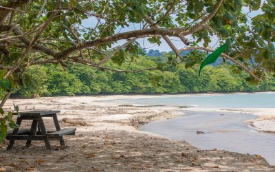 Cahuita, um parque natural na costa caribenha