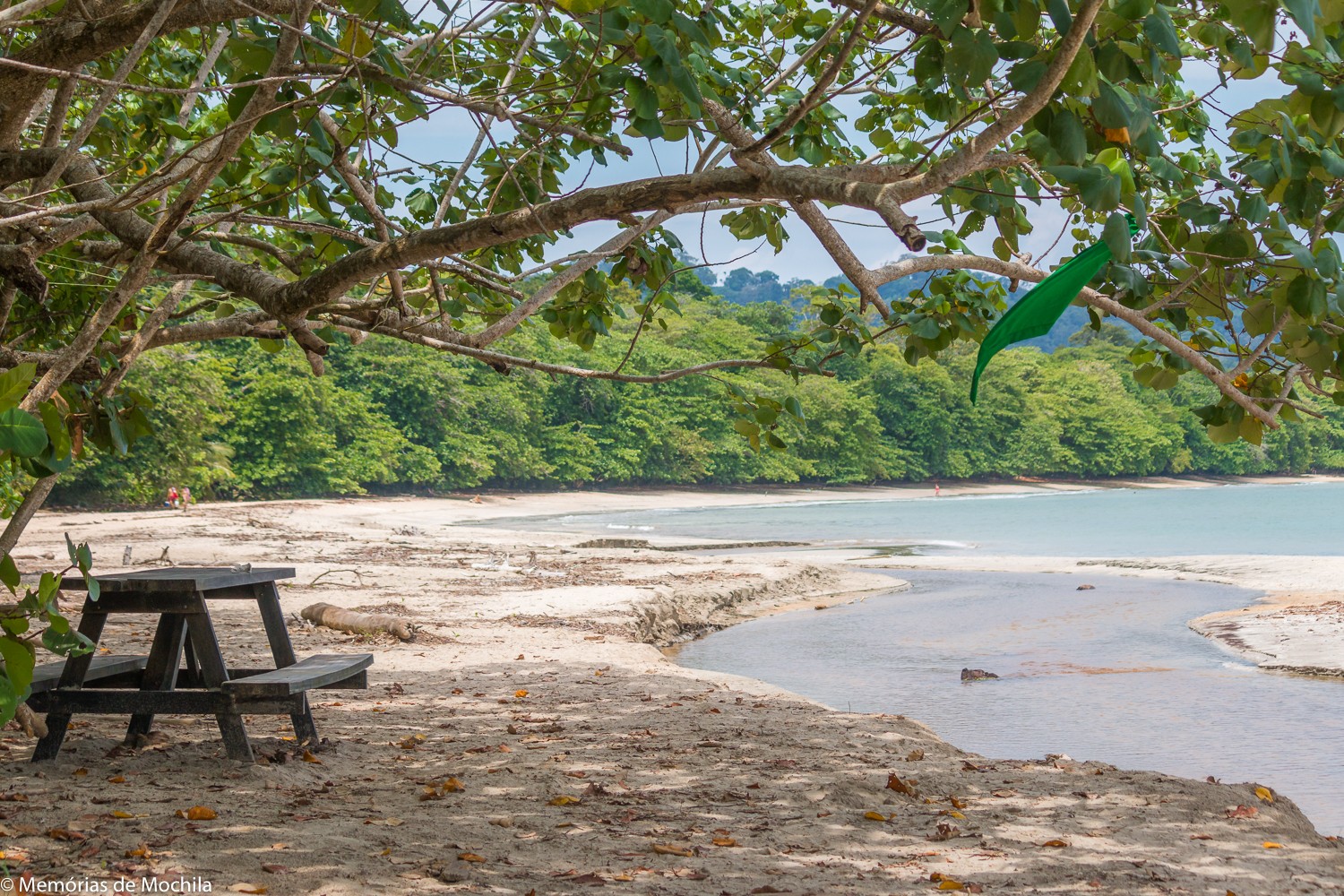 Cahuita, um parque natural na costa caribenha Parque Nacional Cahuita