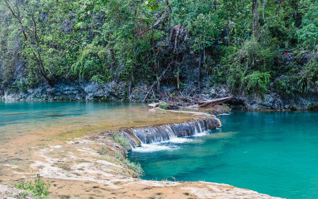 Semuc Champey e a beleza das piscinas naturais da Guatemala