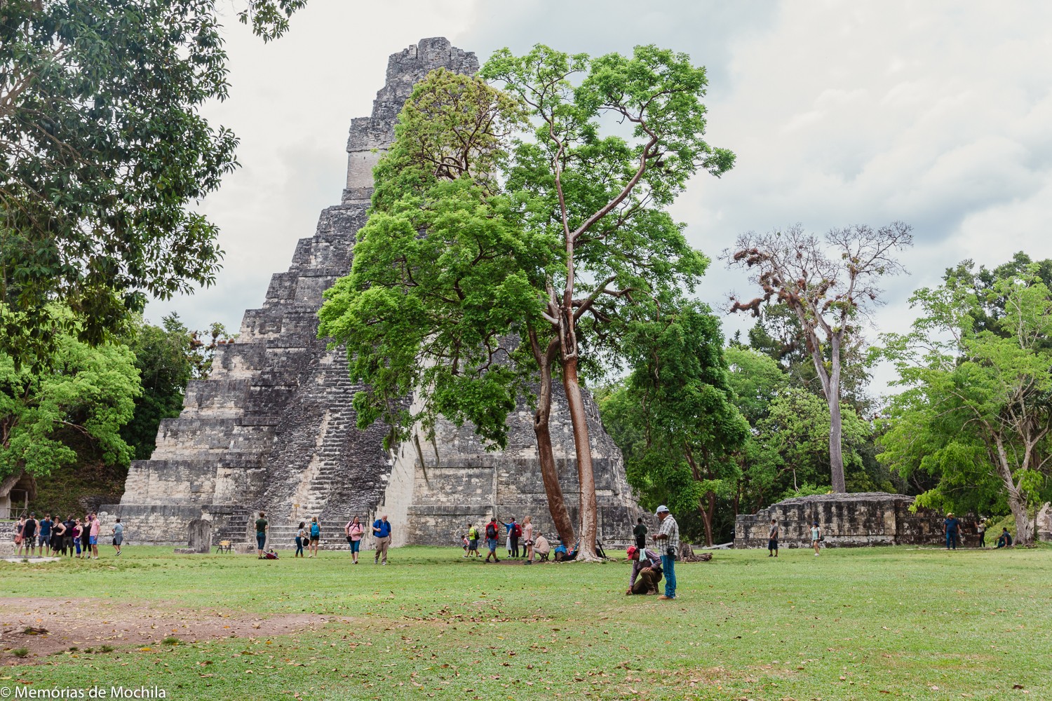 tikal